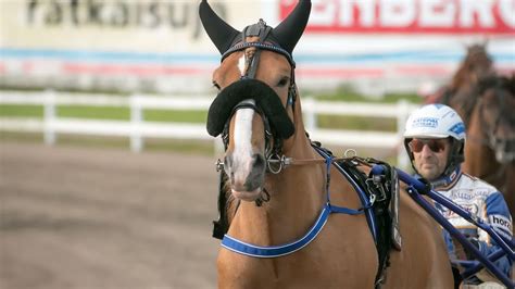 toto ravit tänään.